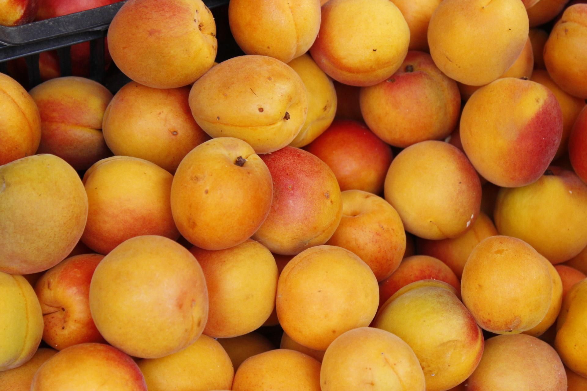 Цены на фрукты 2021 Цены на фрукты 2021