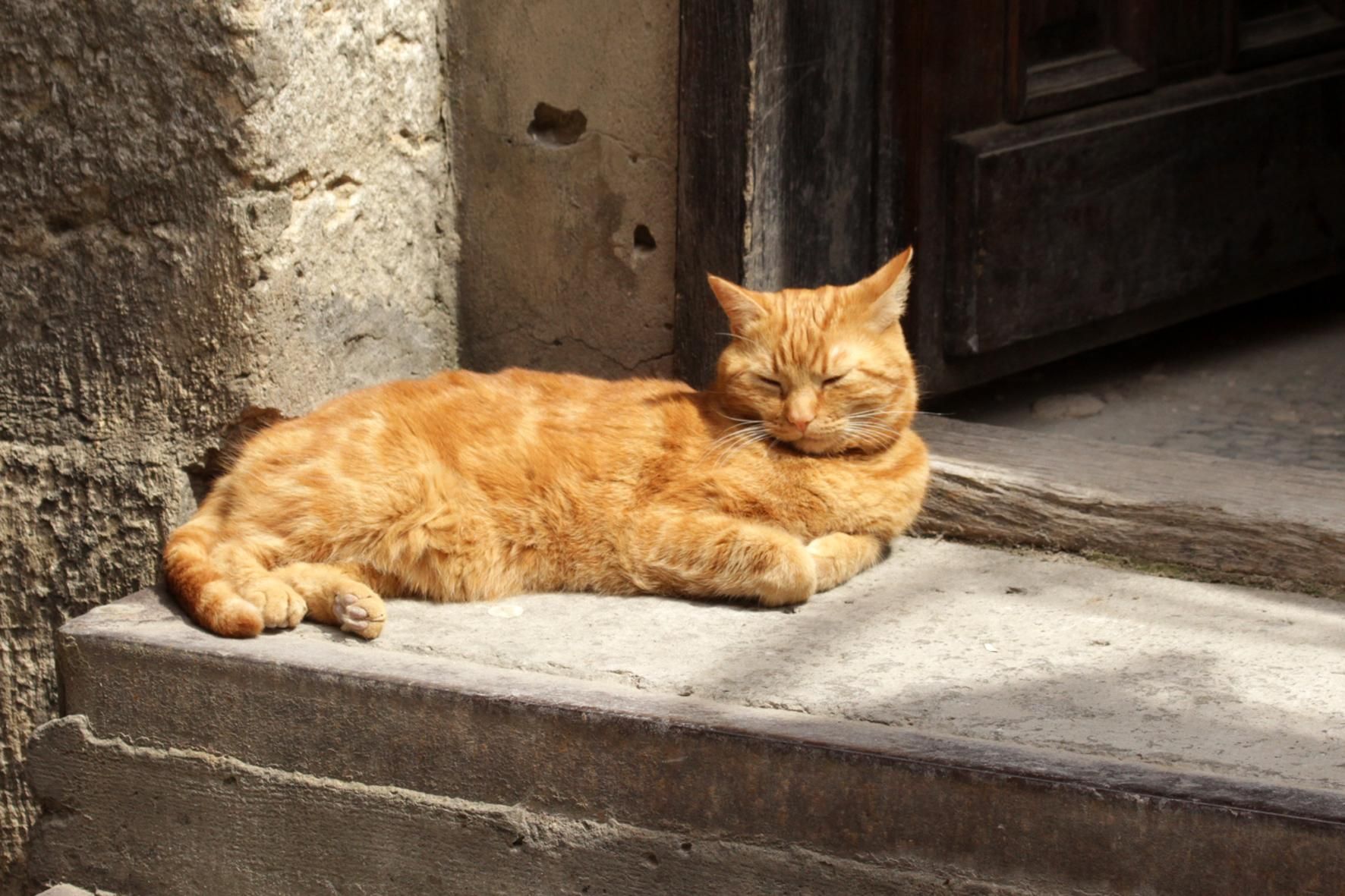 Погода 24 июля 2021: прогноз от синоптиков Украины Погода 24 июля 2021: прогноз от синоптиков Украины