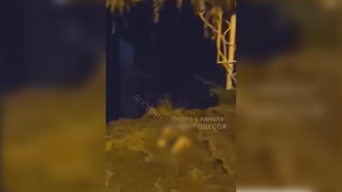 Мужчину унесло потоком воды во время ливня в Одессе: выжил ли он, каково его состояние