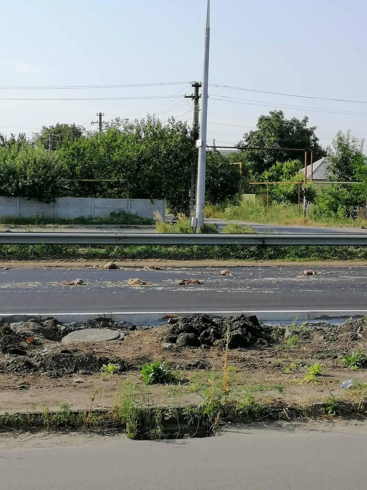 Дохлі кури Під Дніпром Сморід 23.07.2021 Дохлі кури Під Дніпром Сморід 23.07.2021