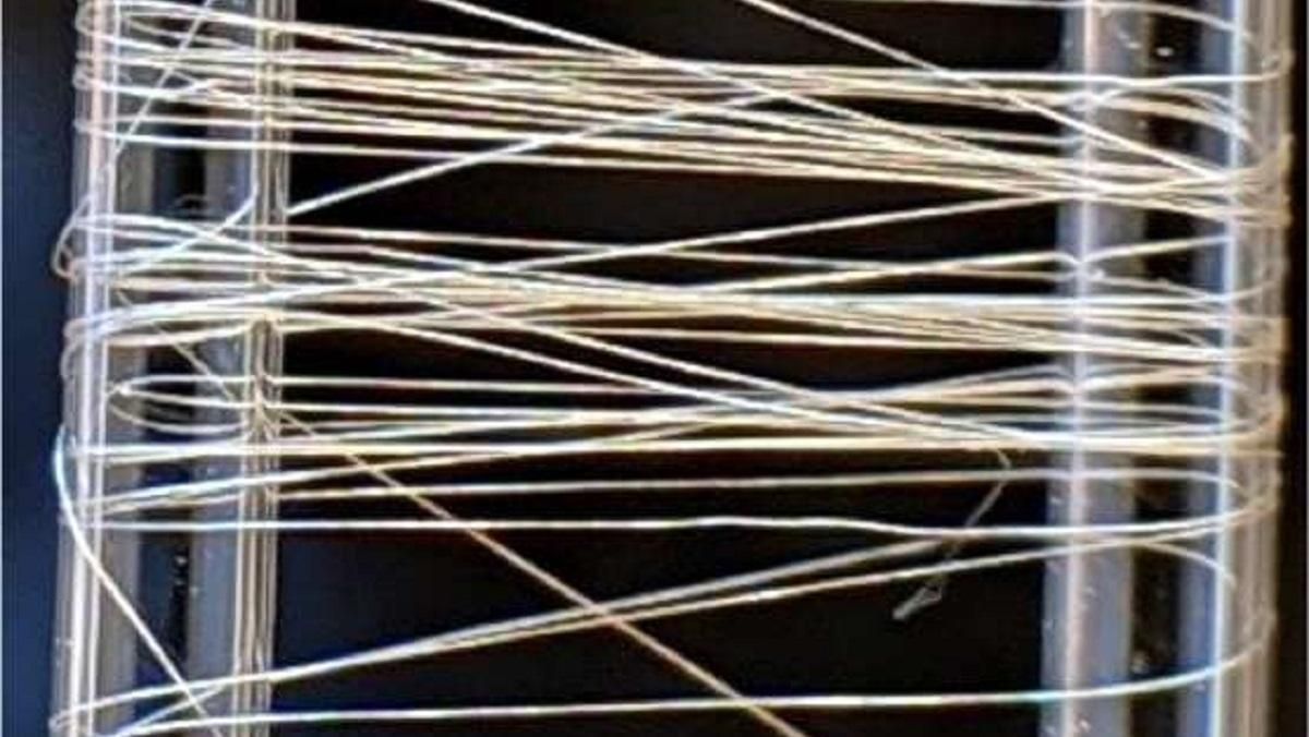 Исследователи создали сверхпрочные волокна искусственной паутины