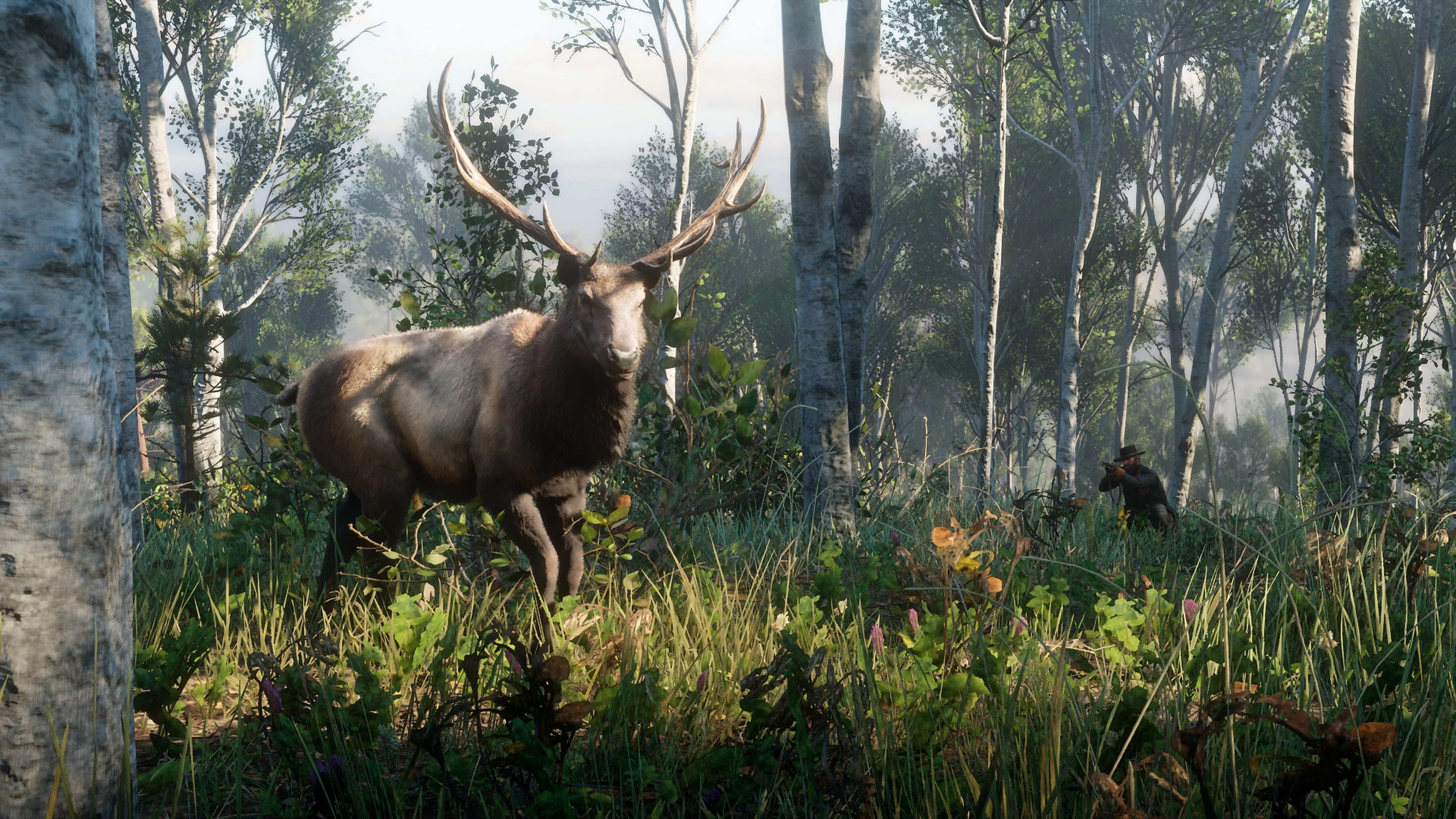 Исследование показало, что фанаты Red Dead Redemption 2 лучше других разбираются в дикой природе