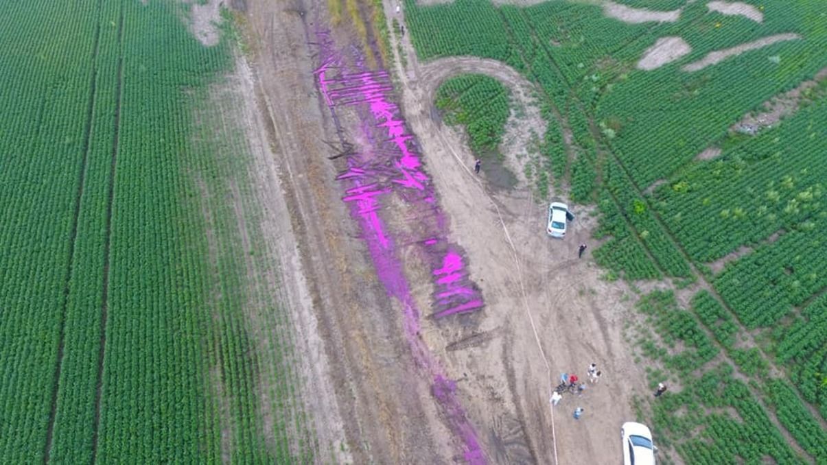 Поліція відкрила кримінальну справу через рожеві калюжі під Рівним Поліція відкрила кримінальну справу через рожеві калюжі під Рівним