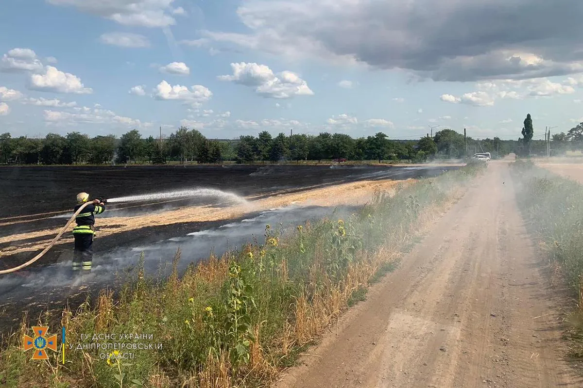 Пожежа на полі на Дніпропетровщині