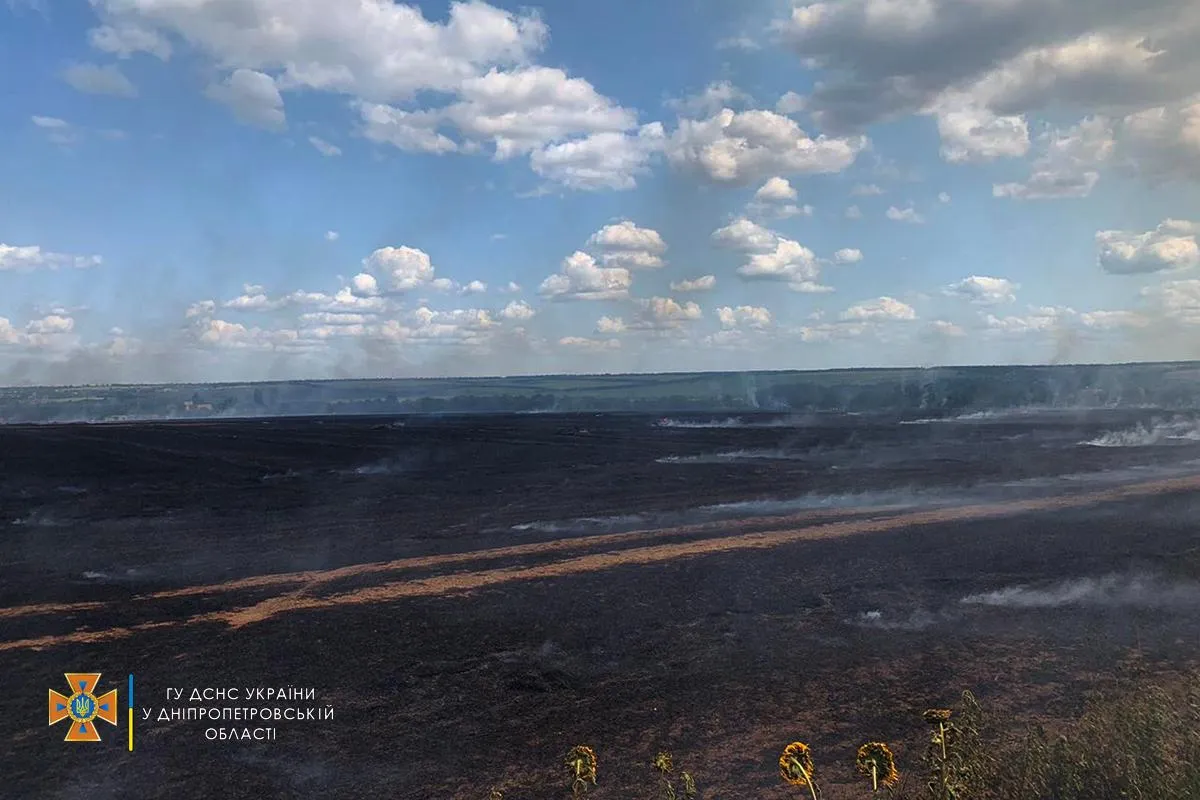 Пожежа на полі на Дніпропетровщині