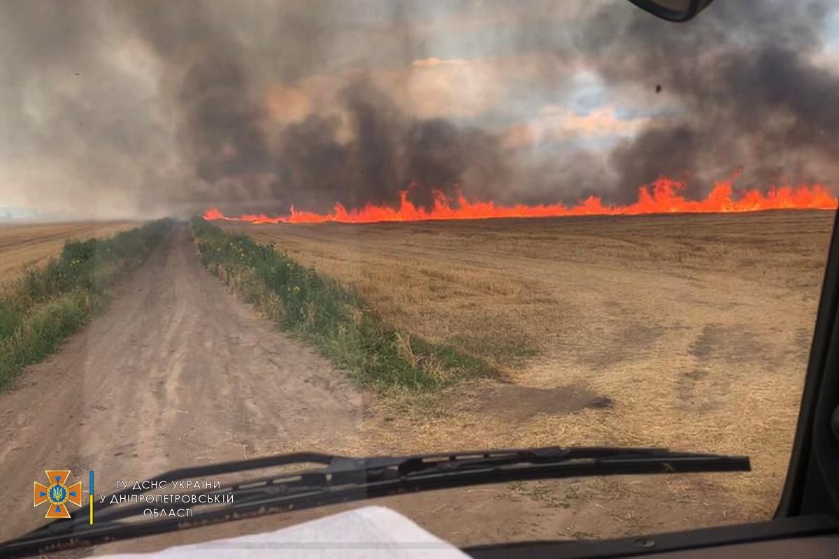 На Днепропетровщине вспыхнул пожар на пшеничных полях: фото