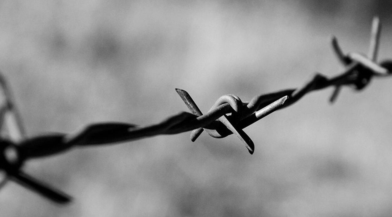 Эстония подарит Литве колючую проволоку для борьбы с нелегалами Эстония подарит Литве колючую проволоку для борьбы с нелегалами