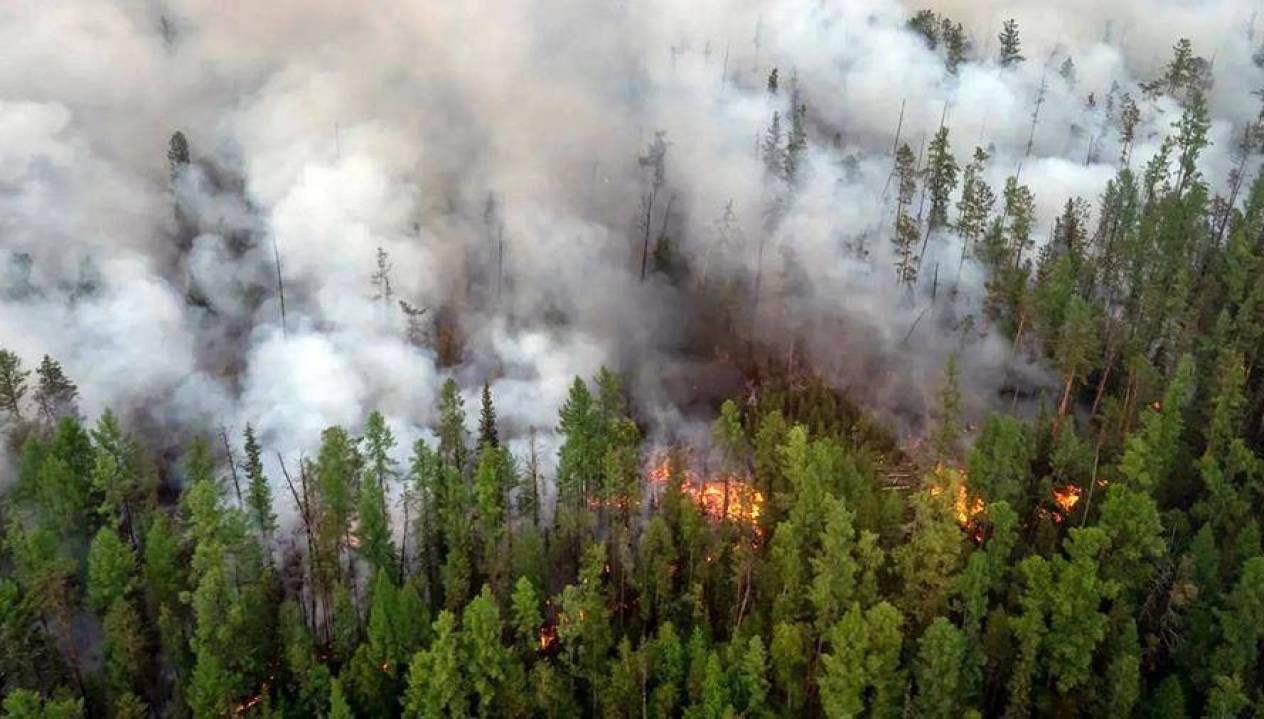 Лесные пожары из России 25.07.2021 перекинулись на соседнюю Финляндию