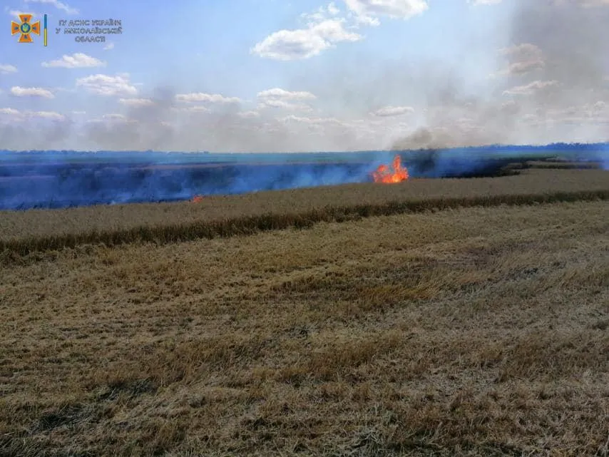 На Миколаївщині спалахнула пожежа