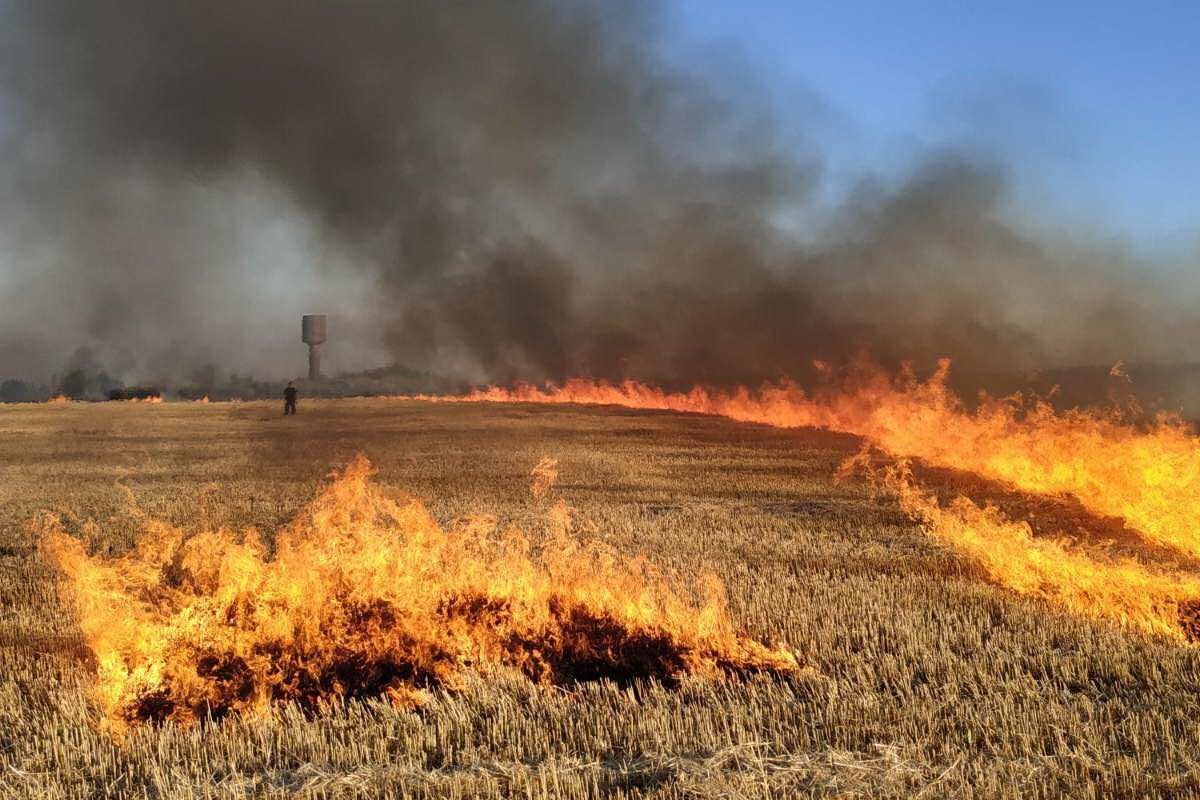 На Николаевщине 24 июля 2021 загорелось пшеничное поле