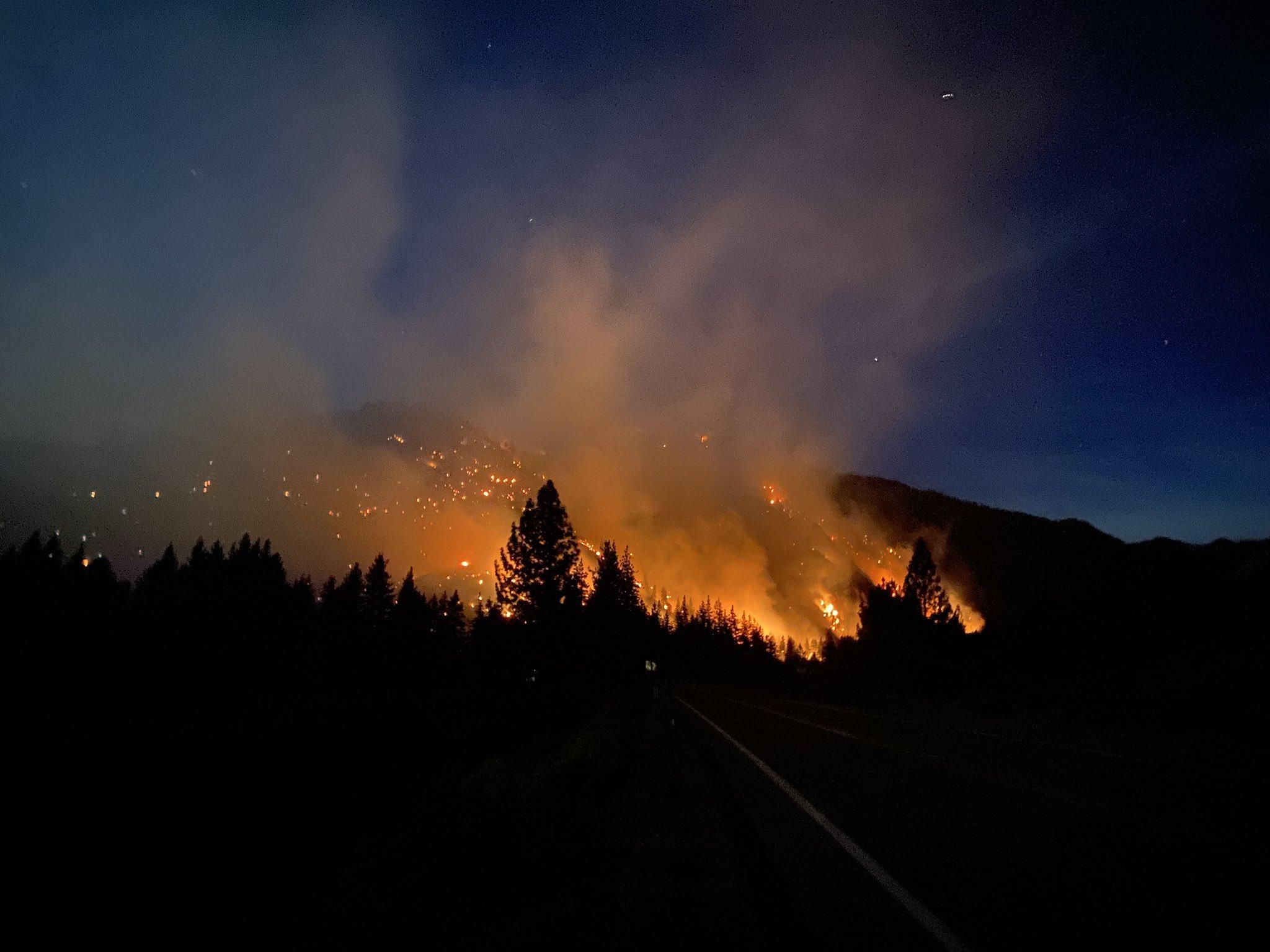 Лесные пожары в США охватили уже 12 штатов: какая сейчас ситуация