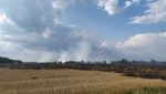 У Чернігівській області спалахнула пожежа на пшеничному полі