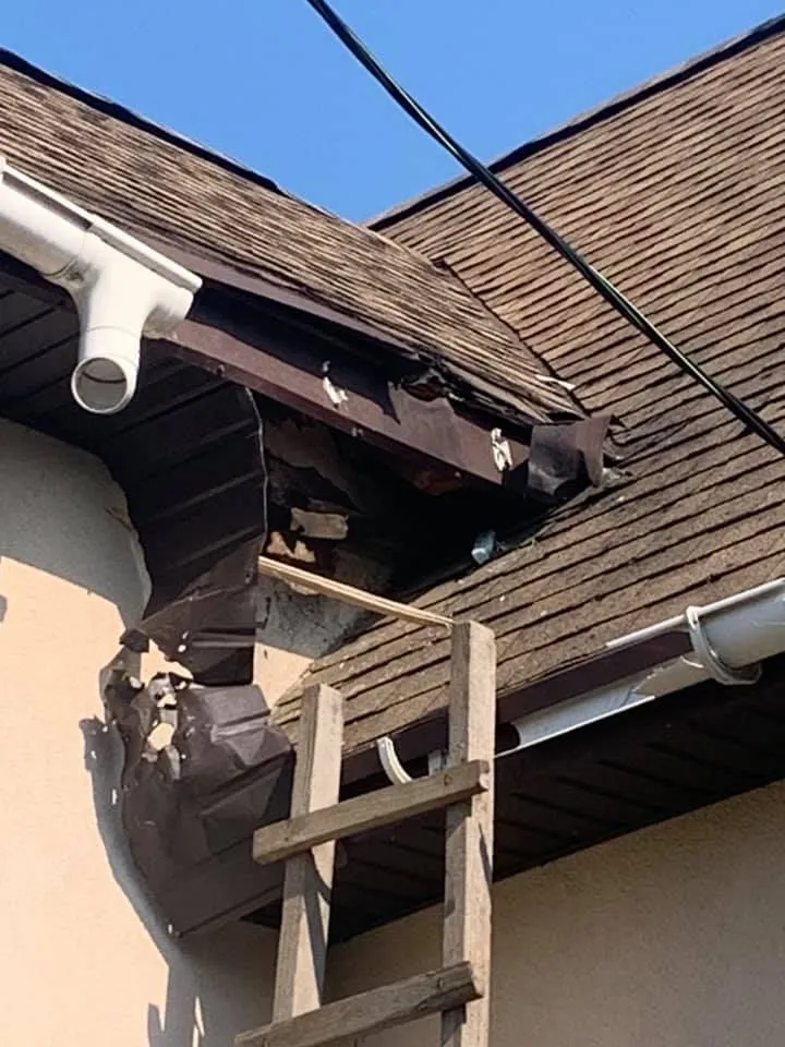 у будинок підприємця кинули гранату у будинок підприємця кинули гранату