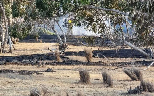 пожежі в Ізраїлі після атак ХАМАСу пожежі в Ізраїлі після атак ХАМАСу