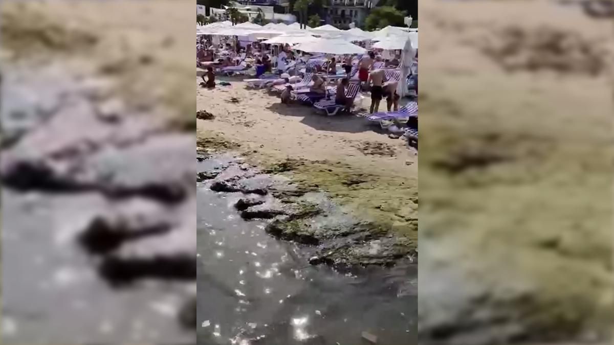 В Одесі позеленіли море та пляж: відео