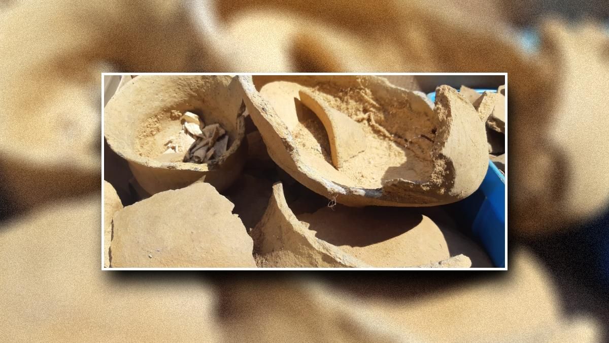 Дети раскопали в песочнице захоронение бронзового века
