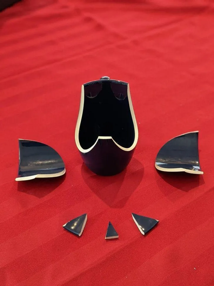 Эта чашка разбилась на симметричные обломки Эта чашка разбилась на симметричные обломки