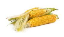 Приготування кукурудзи в мікрохвильовці: рецепт на 5 хвилин