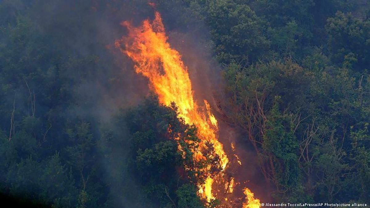 Пожары в Италии распространились на Сицилию и другие регионы Пожары в Италии распространились на Сицилию и другие регионы