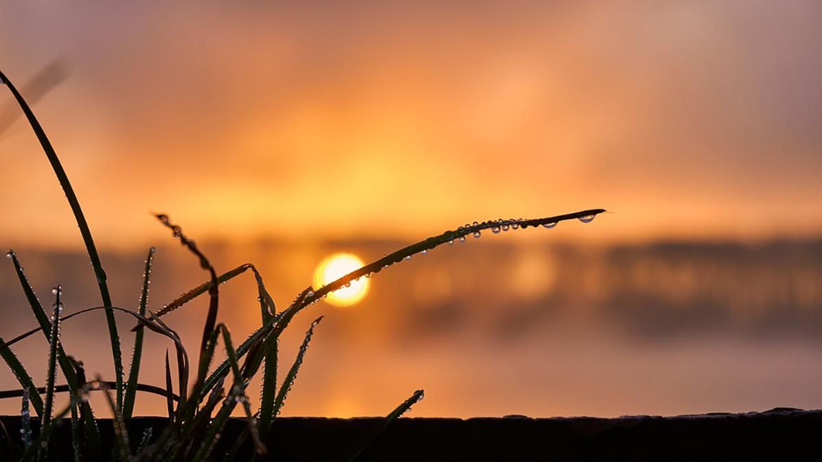 Прогноз погоды на 28 июля 2021 в Украине – синоптики Прогноз погоды на 28 июля 2021 в Украине – синоптики