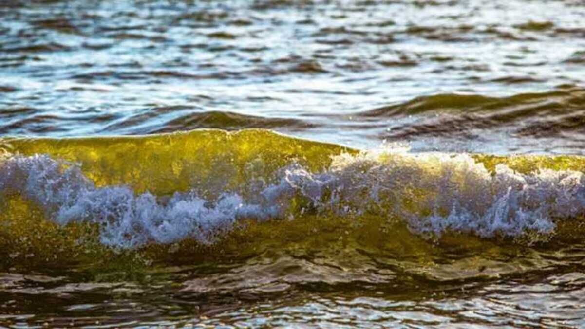 Морська вода біля двох пляжів Одеси непридатна для купання 