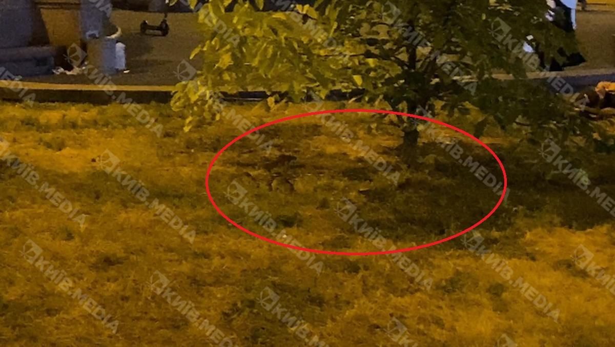 У Києві біля Бессарабського ринку побачили купу щурів У Києві біля Бессарабського ринку побачили купу щурів