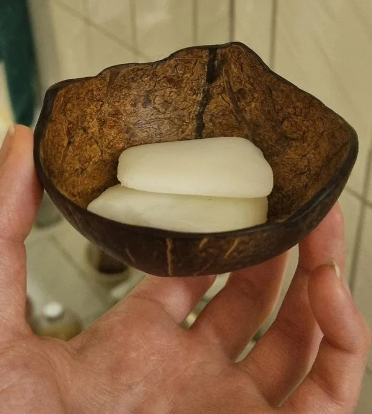 Мильниця з кокосу Мильниця з кокосу