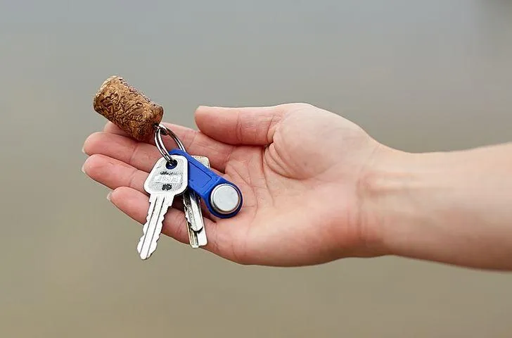 Винна пробка Винна пробка