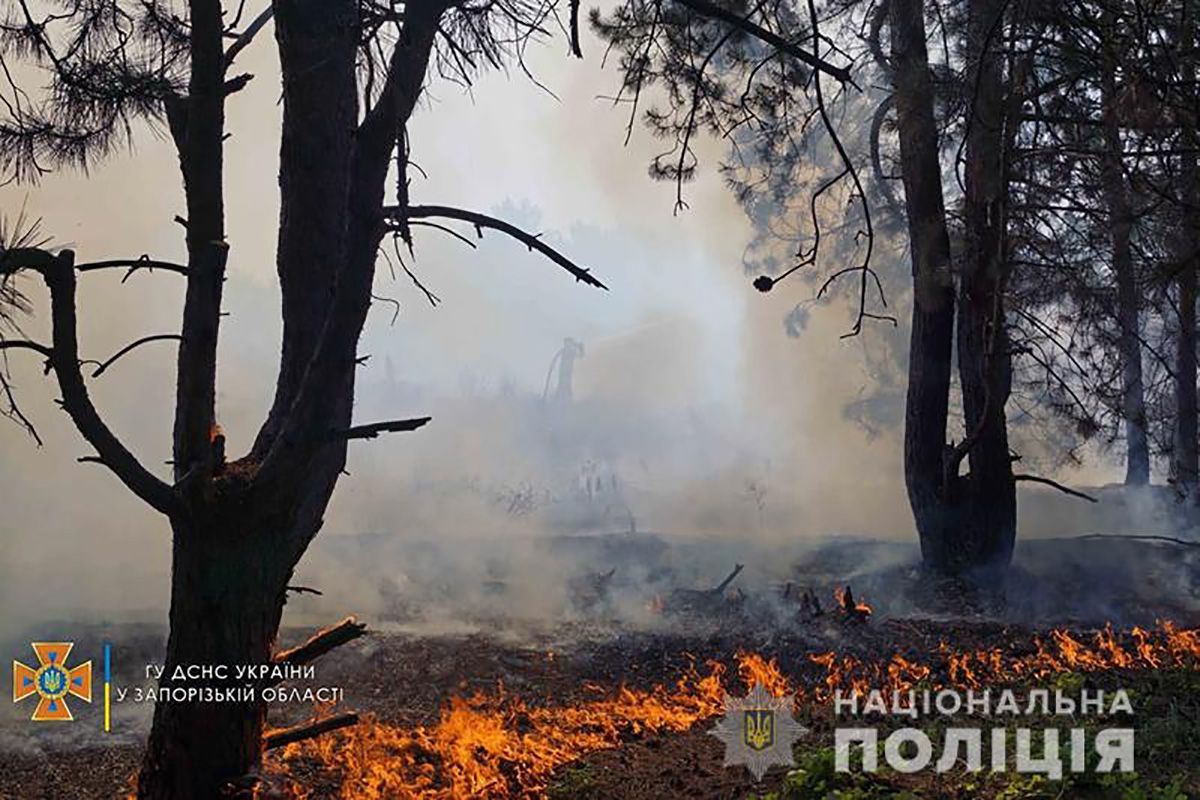 Пожар на острове Хортица: полиция проводит проверку