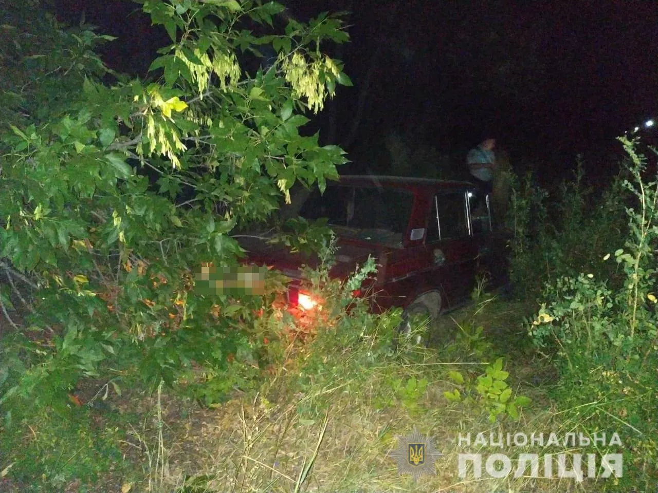 Водій збив двох підлітків на Харківщині 