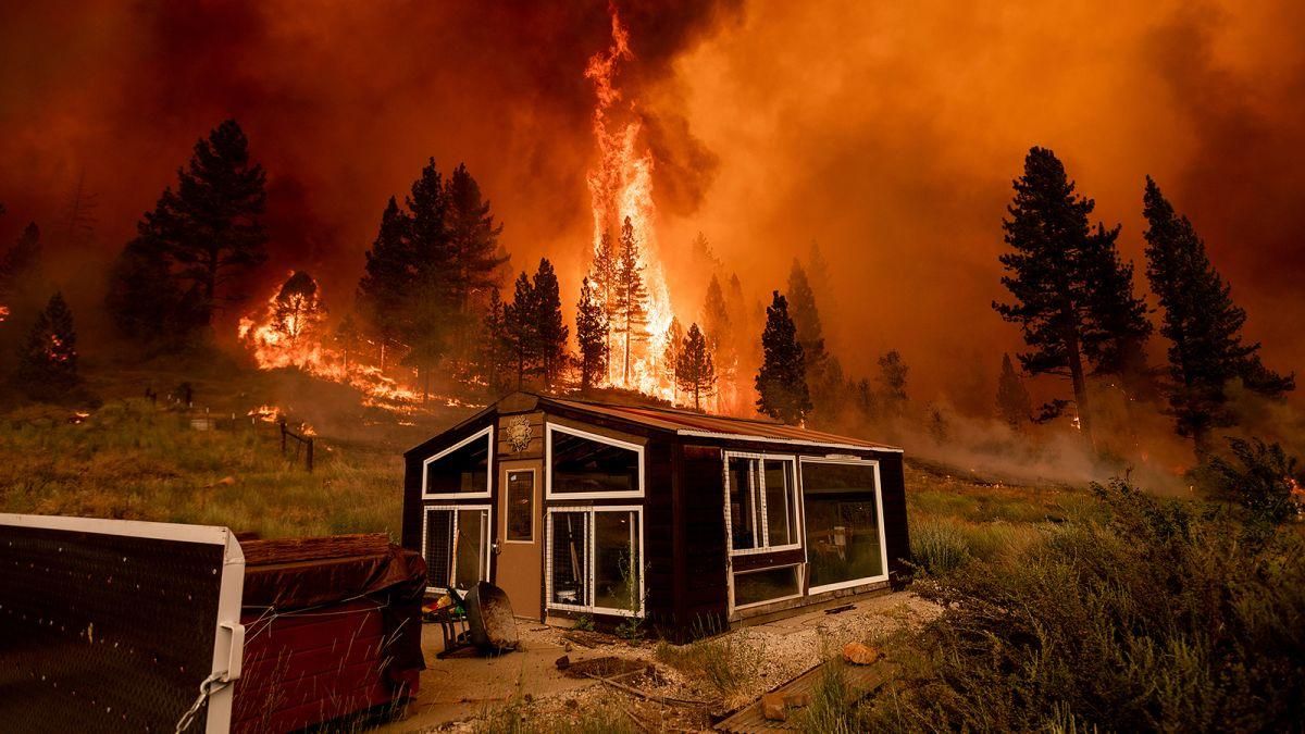 Лісова пожежа в США