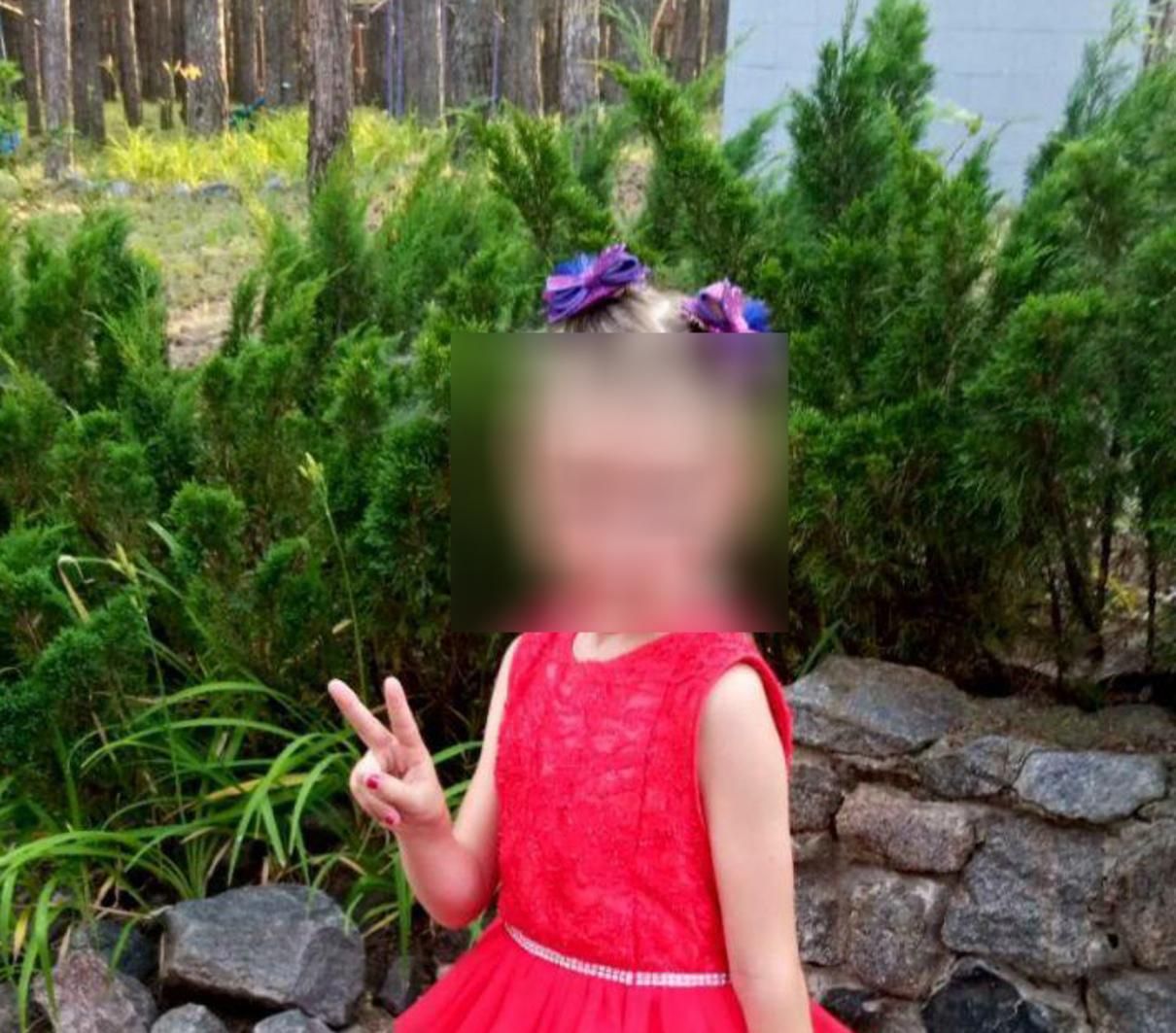 Вбивство 6-річної Мирослави Третяк на Харківщині: встановили злочинця