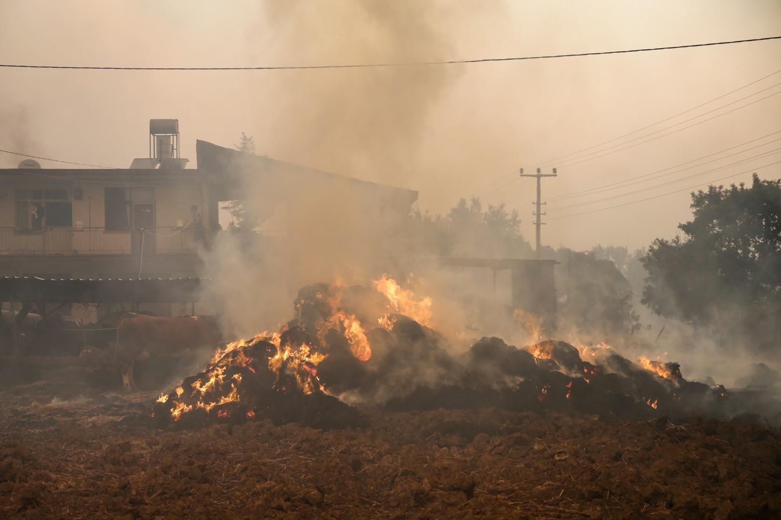 Кількість потерпілих внаслідок пожеж у Туреччині різко зросла 