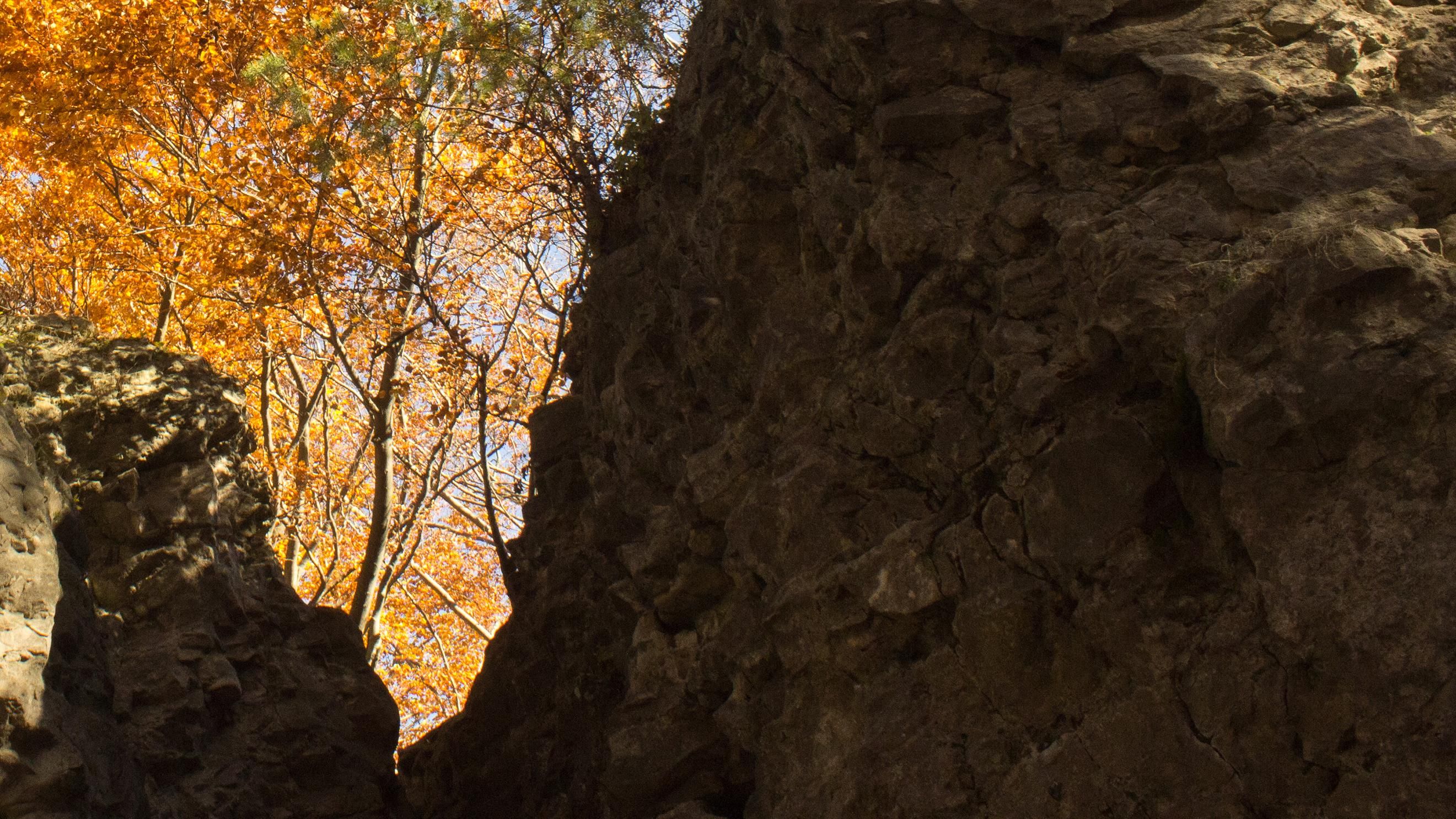 Біля Львова в лісі знайшли вибухівки з часів світової війни Біля Львова в лісі знайшли вибухівки з часів світової війни