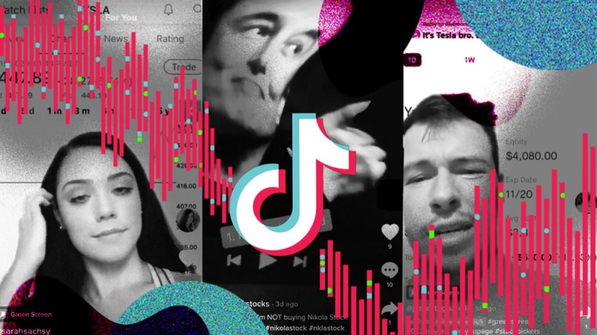 Освітній проєкт у тіктоці Освітній проєкт у тіктоці