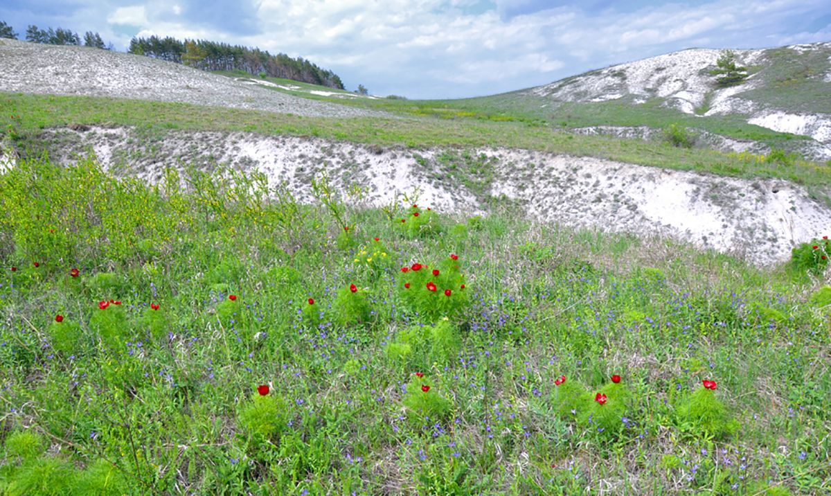 10 фактов о меловых горах на Харьковщине 10 фактов о меловых горах на Харьковщине