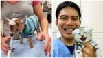 Найсимпатичніші пацієнти ветеринарів: добірка унікальних фото