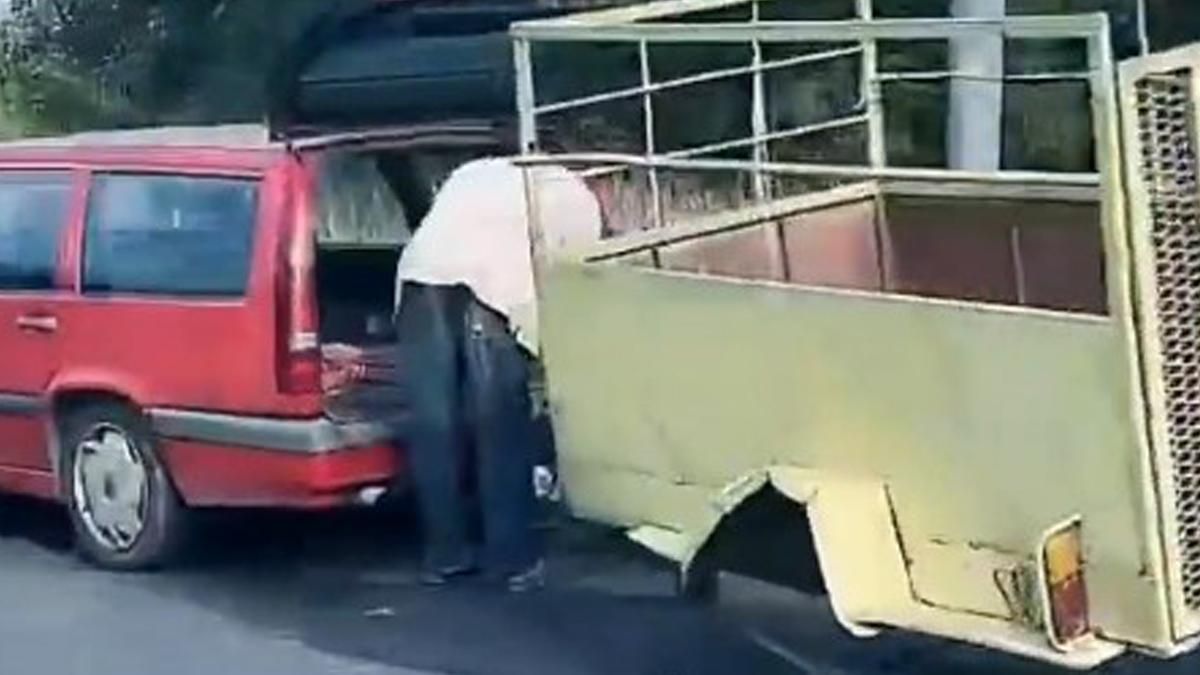 У Голосієво у ДТП потрапили 2 корови: тварини загинули - Київ У Голосієво у ДТП потрапили 2 корови: тварини загинули - Київ