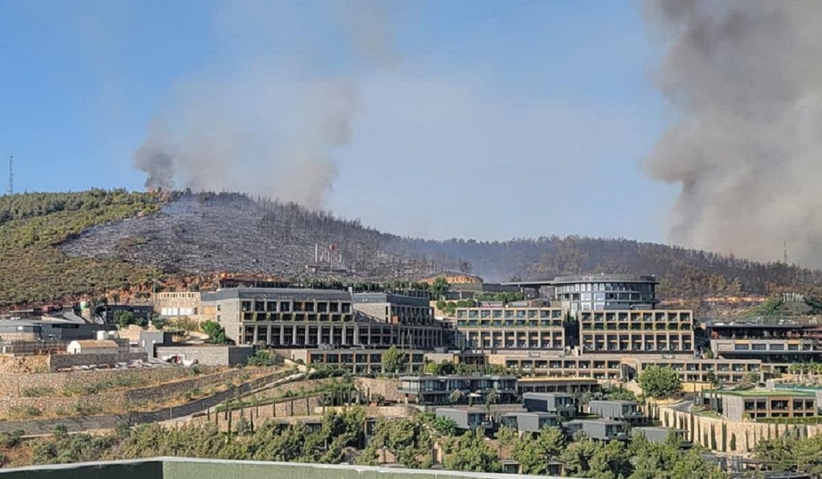 Лісові пожежі в Туреччині: Україна вишле літак на допомогу Лісові пожежі в Туреччині: Україна вишле літак на допомогу