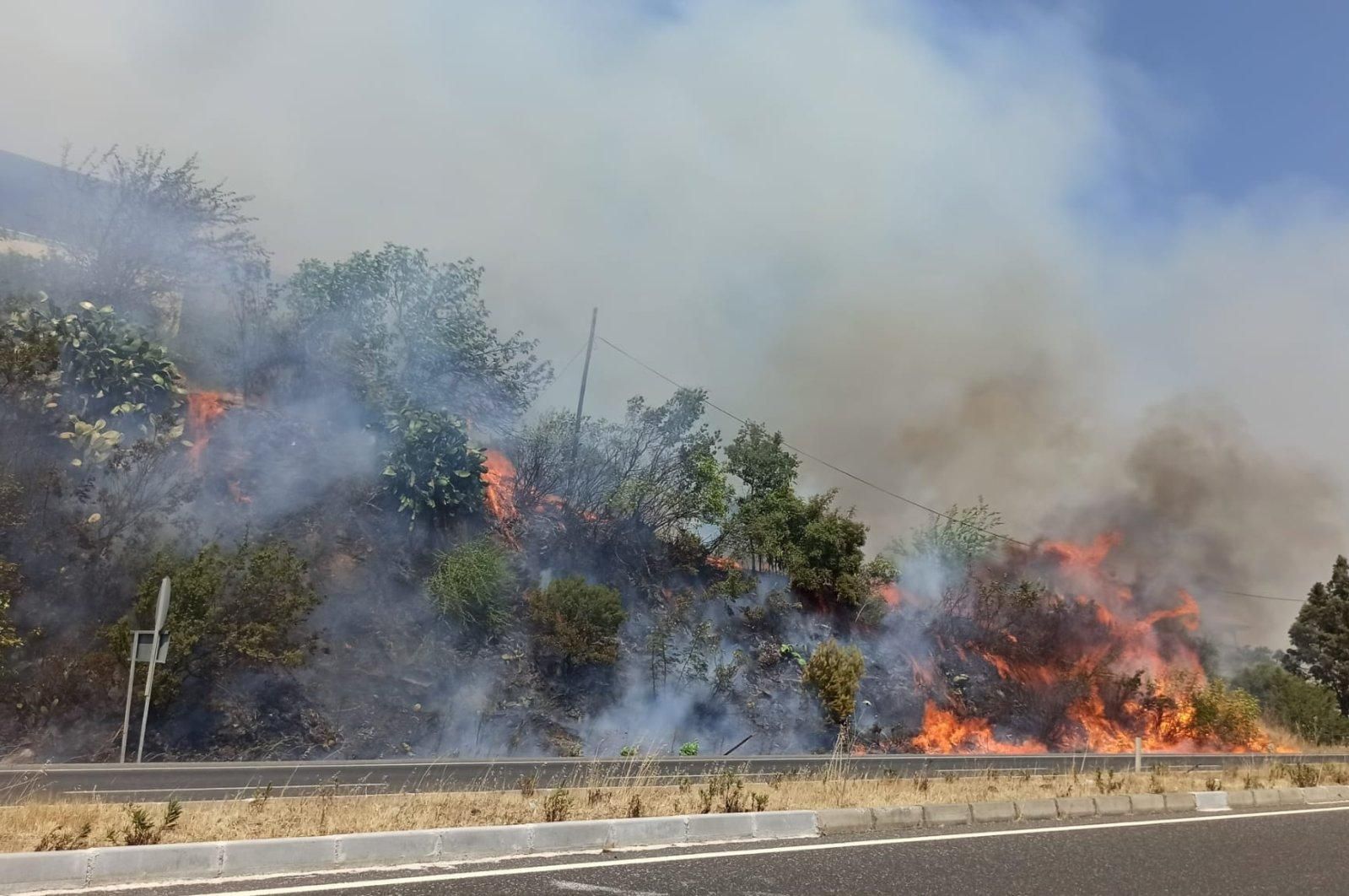 Пожары в Турции: как украинцы выбирались с курорта у Мармариса Пожары в Турции: как украинцы выбирались с курорта у Мармариса