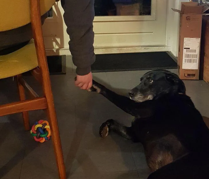 фото Reddit фото Reddit