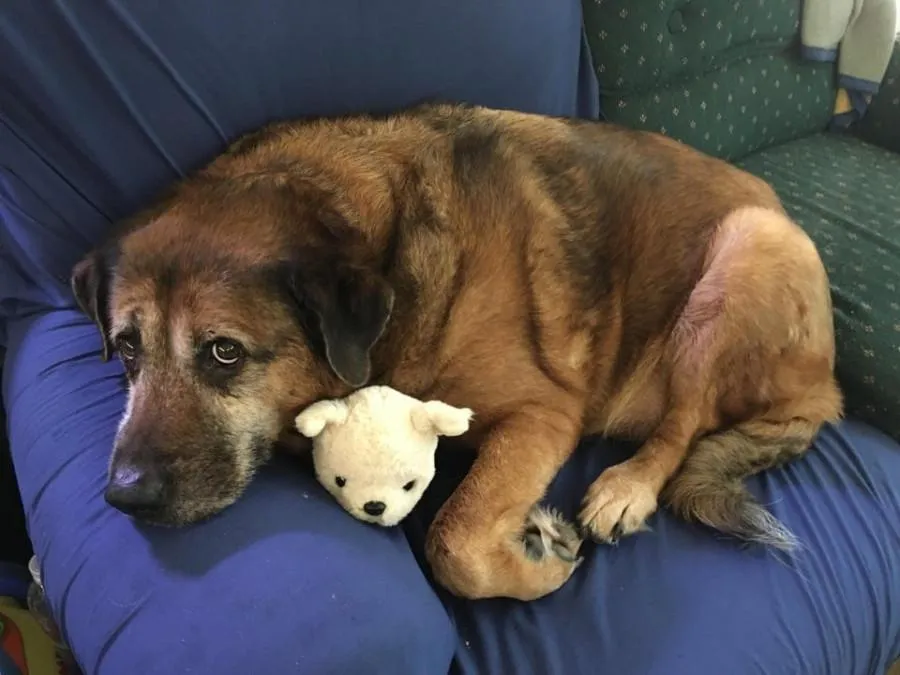 фото Reddit фото Reddit