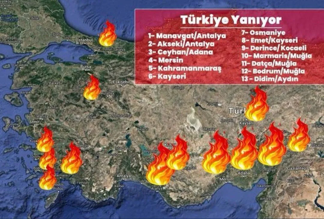 В яких регіонах Туреччини вирують лісові пожежі