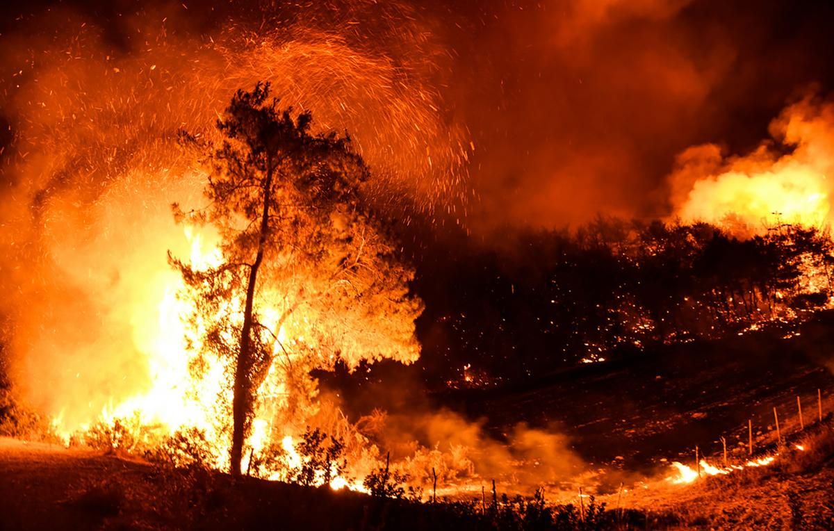 Пожары в Турции не утихают: что происходит 31 июля 2021 Пожары в Турции не утихают: что происходит 31 июля 2021