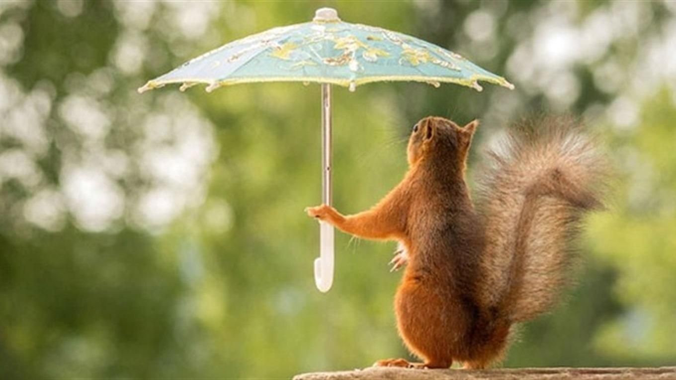 Погода на 31 липня 2021 в Україні: що прогнозують синоптики Погода на 31 липня 2021 в Україні: що прогнозують синоптики