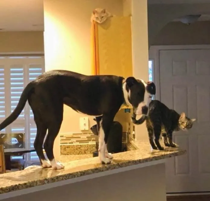 фото Reddit фото Reddit