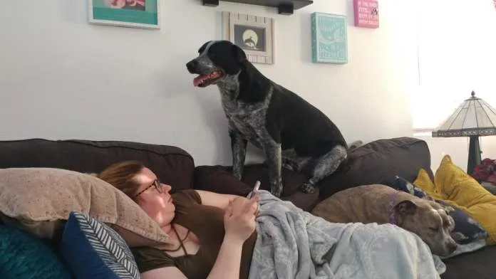 фото Reddit фото Reddit