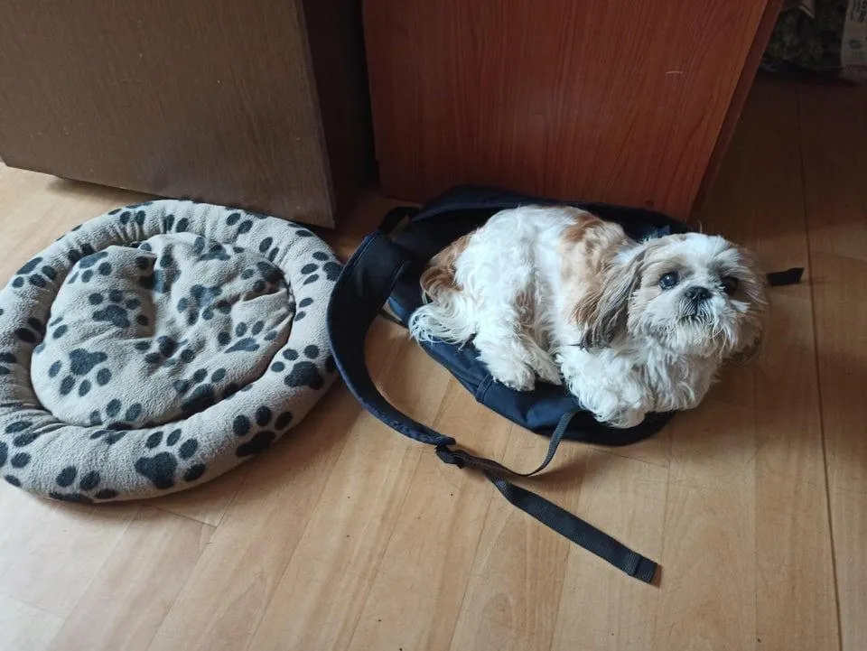 фото Reddit фото Reddit