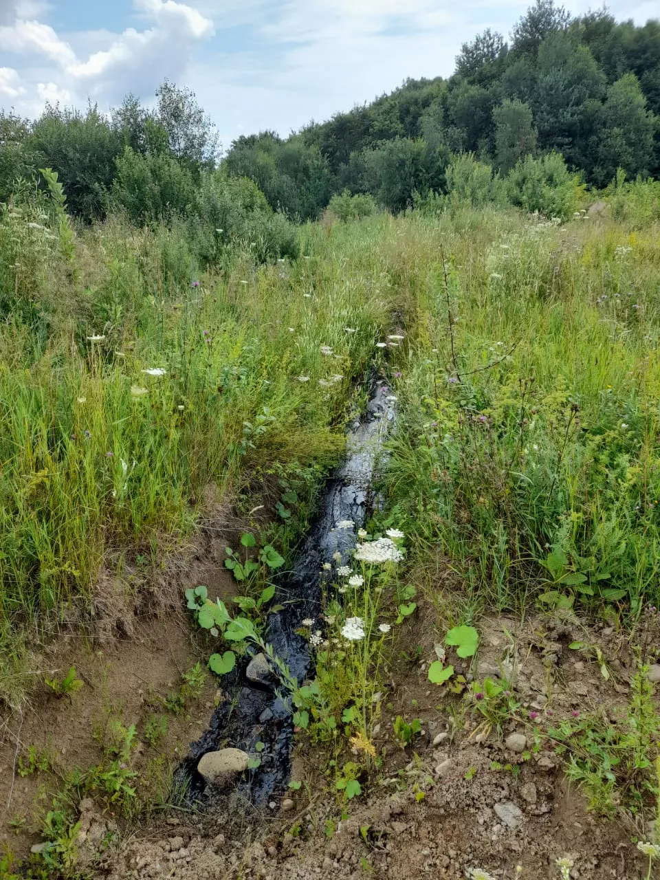 На Львівщині Вилив нафти Біля Сколе 30.07.2021 На Львівщині Вилив нафти Біля Сколе 30.07.2021