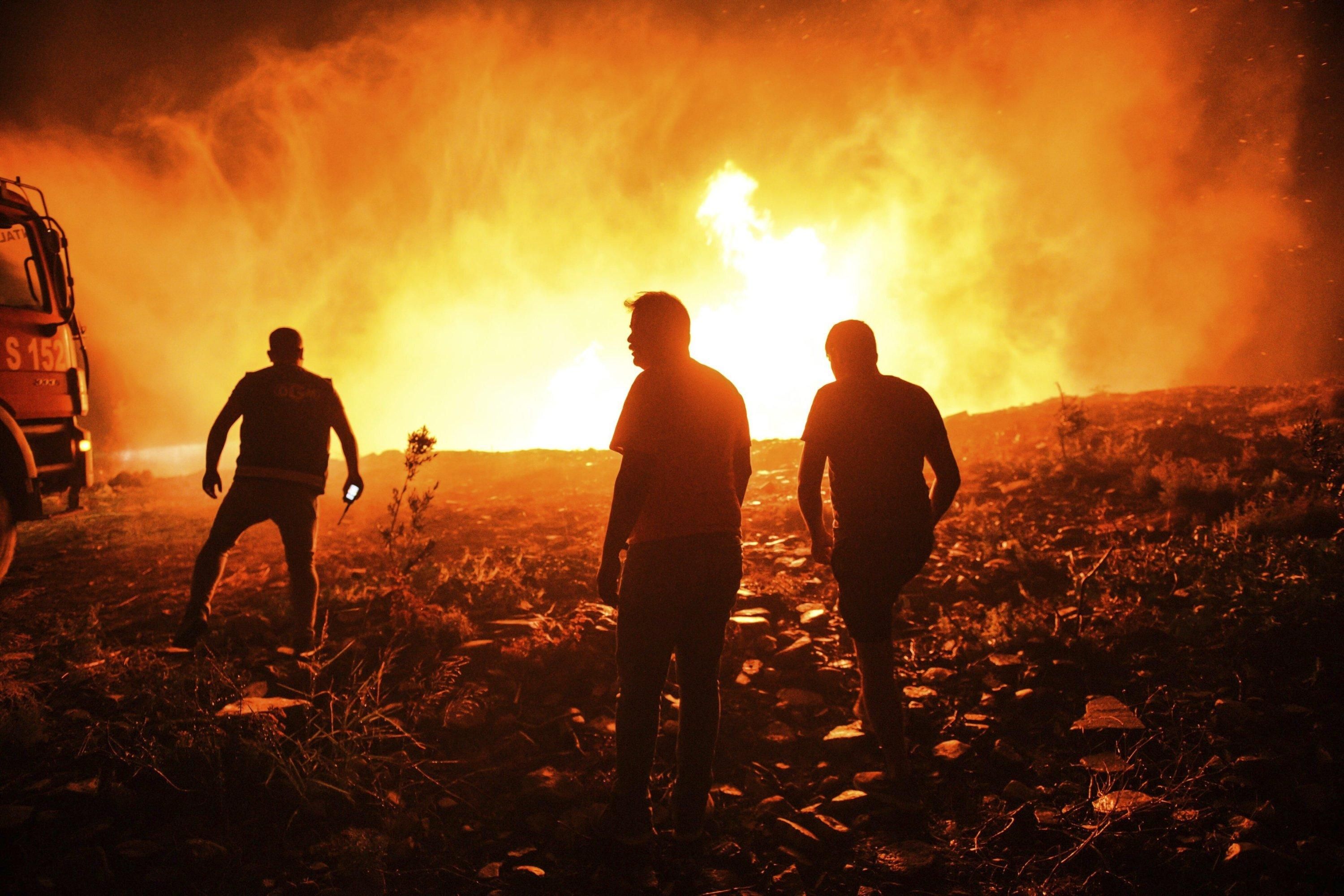 МИД призвал украинцев не ехать в охваченные огнем регионы Турции 